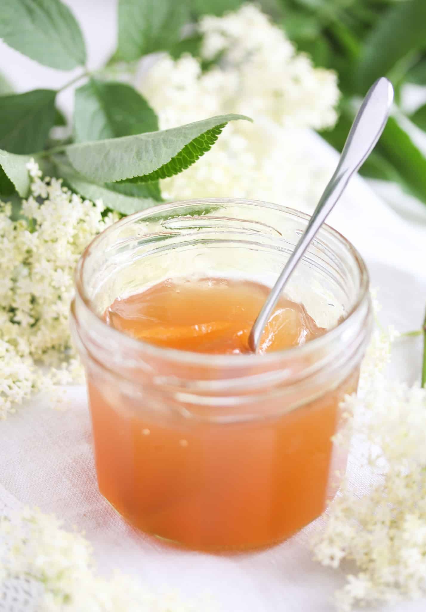 orange colored jelly in a jar with eldeflower and leaves behind it. spoon sticking in the jar.